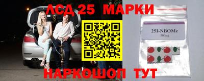 Альфа ПВП Кандалакша