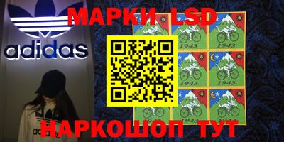 PSILOCYBIN Канаш