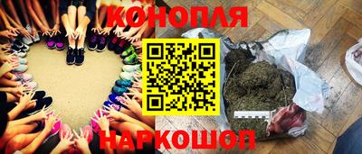 Альфа ПВП Кандалакша