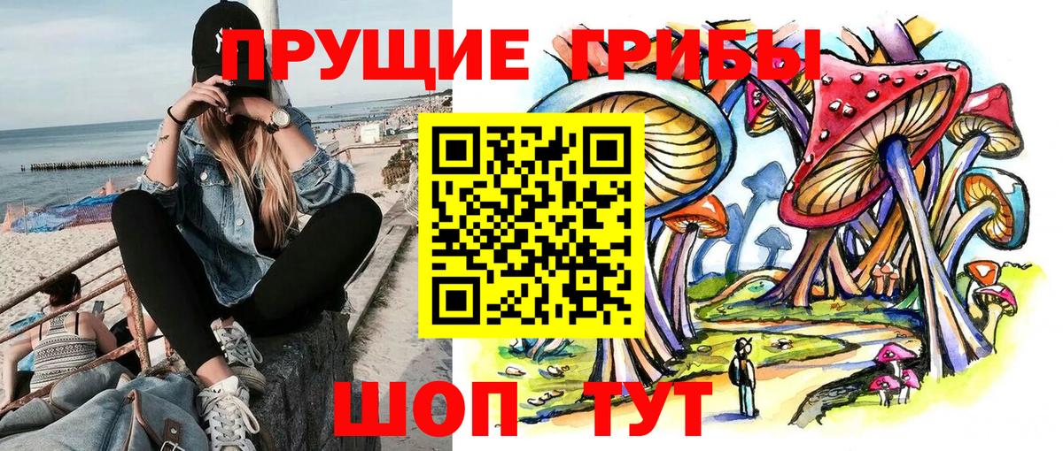 Буйнакск  Галлюциногенные грибы Cubensis  как найти закладки  Галлюциногенные грибы Magic Shrooms  Вход с VPN 