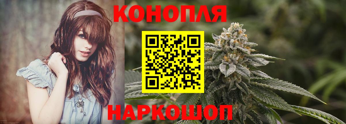 Каннабис сатива Буйнакск